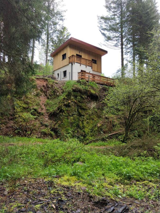 Le Refuge Perche Du Saut De La Bourrique Spa, Terrain Cloture Gerardmer Bagian luar foto