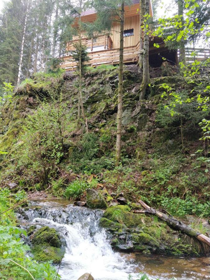 Le Refuge Perche Du Saut De La Bourrique Spa, Terrain Cloture Gerardmer Bagian luar foto