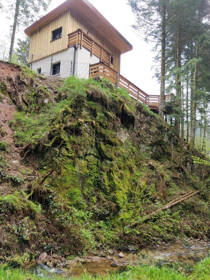 Le Refuge Perche Du Saut De La Bourrique Spa, Terrain Cloture Gerardmer Bagian luar foto