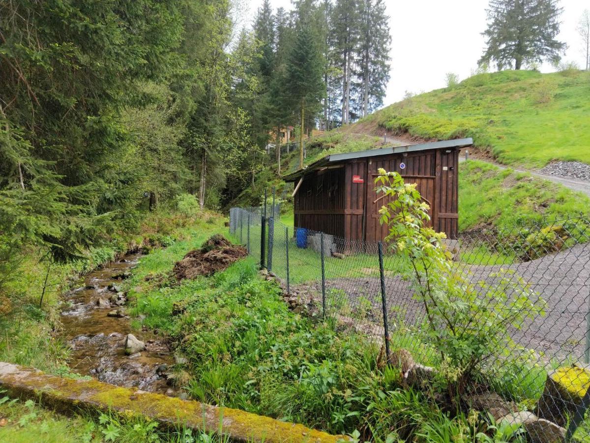 Le Refuge Perche Du Saut De La Bourrique Spa, Terrain Cloture Gerardmer Bagian luar foto