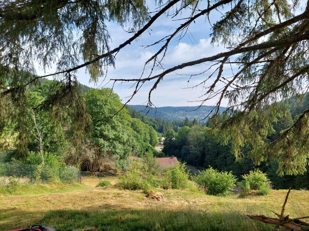 Le Refuge Perche Du Saut De La Bourrique Spa, Terrain Cloture Gerardmer Bagian luar foto